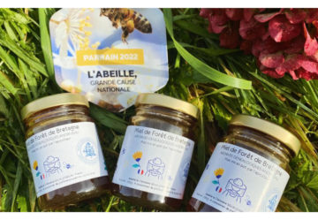 Actu Toit pour les abeilles