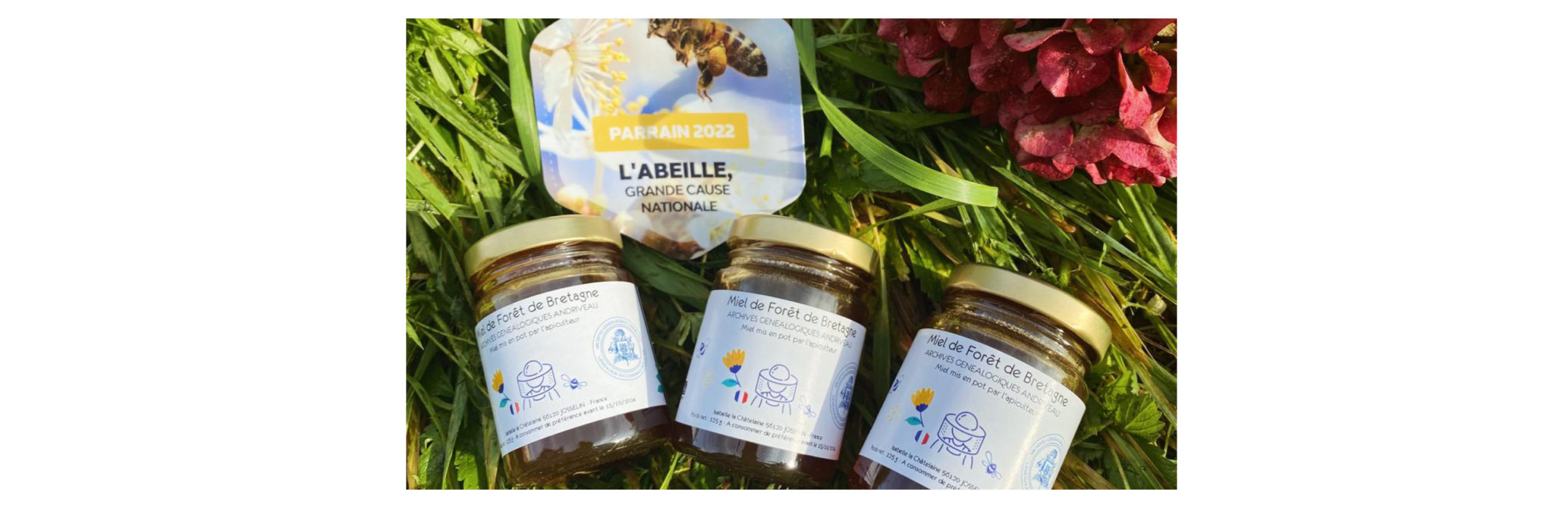Actu Toit pour les abeilles
